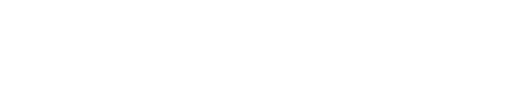Logo ostsee weiß