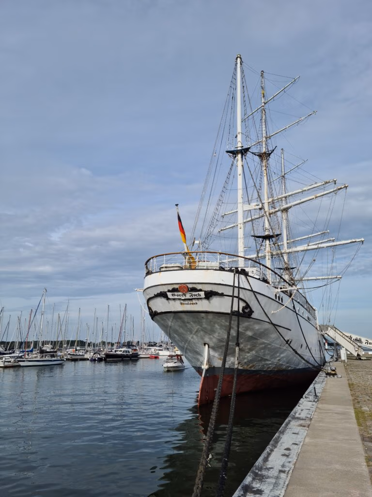Gorch Fock Stralsund