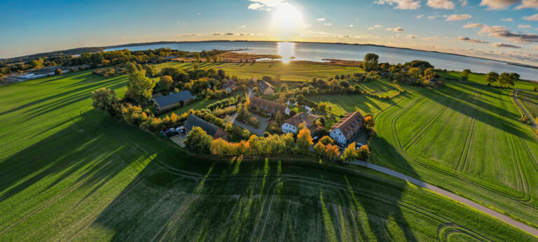Hotel Der Wilde Schwan